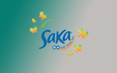 saka su bayilik
