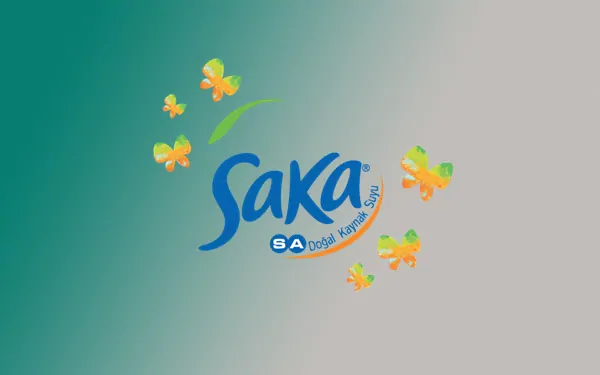 saka su bayilik