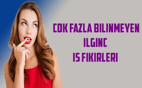 çok fazla bilinmeyen ilginç iş fikirleri