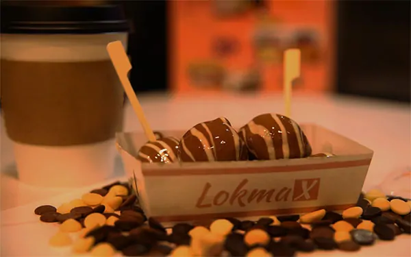 lokmax bayilik şartları