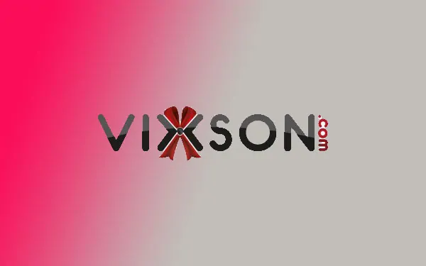 Vixson iç giyim markasının logosu