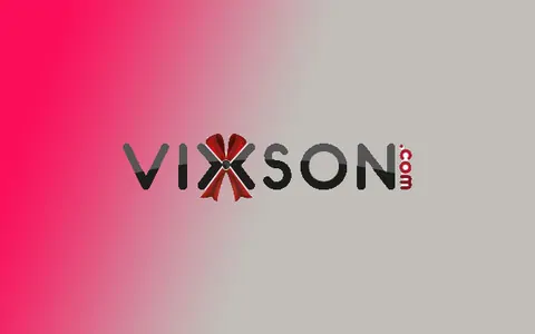 Vixson Bayiliği Alma Şartları: 2026 Franchise Bedeli Ne Kadar? Vixson Bayiliği Nasıl Alınır?