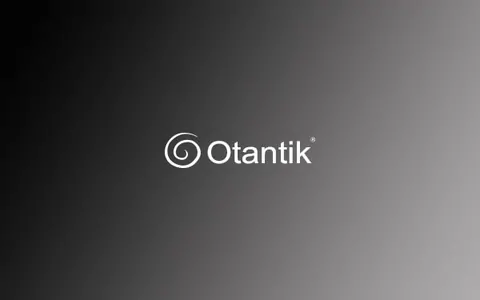 Otantik Kumpir bayilik başvurusu