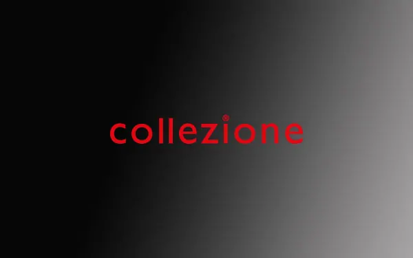 collezione bayilik, Collezione bayilik şartları nelerdir? 2026 franchise bedeli ne kadar? Bayiliği nasıl alınır? collezione bayilik