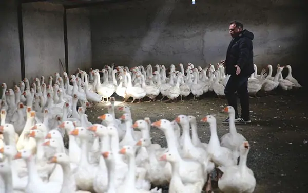 deneme ile başladı