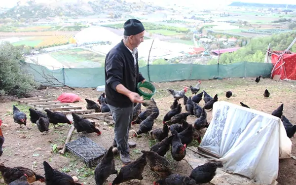 oteldeki işini bırakıp çiftlik kurdu
