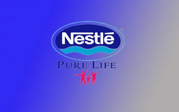 Nesle Pure Su Bayiliği Alma Şartları: 2026 Franchise Bedeli Ne Kadar? Nesle Su Bayiliği Nasıl Alınır?