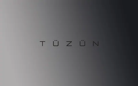 Tüzün bayilik