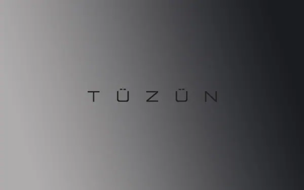 Tüzün bayilik