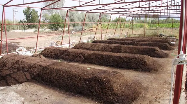 Solucan yetiştiriciliği nasıl yapılır, ne kadar kazandırır, gübresi nasıl elde edilir?