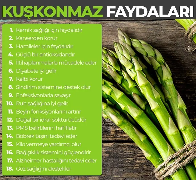 Kuşkonmaz'ın Faydaları Nelerdir?