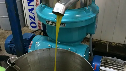 Zeytinyağı fabrikası kurulum maliyeti, kontinü sistem makineleri ve gerekli belgeler