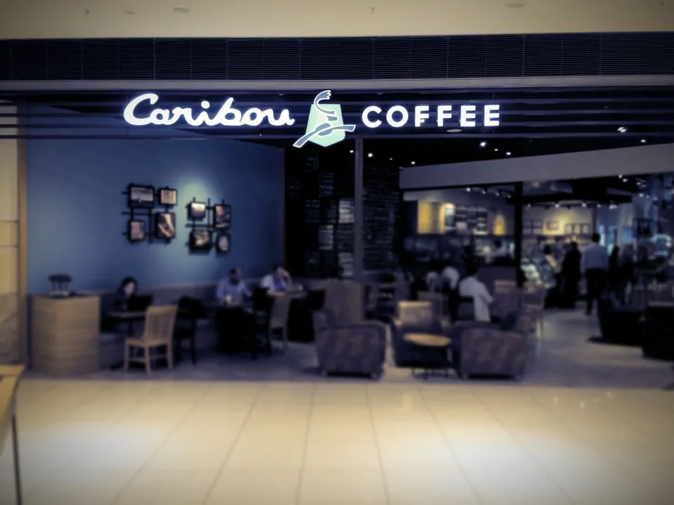 caribou cafe bayi sayisi