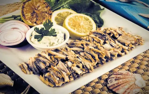 tek balik bayilik sartlari