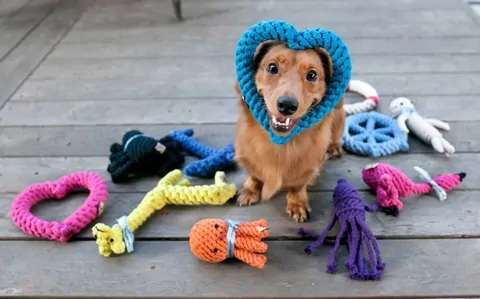Köpeklere Özel Oyuncak Yaparak Evde Para Kazanma Yolları