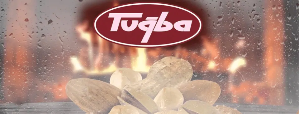 Tuğba Kuruyemiş Bayilik Nasıl Alınır? Şartları Neler? 2026 Franchise Bedeli Ne Kadar?