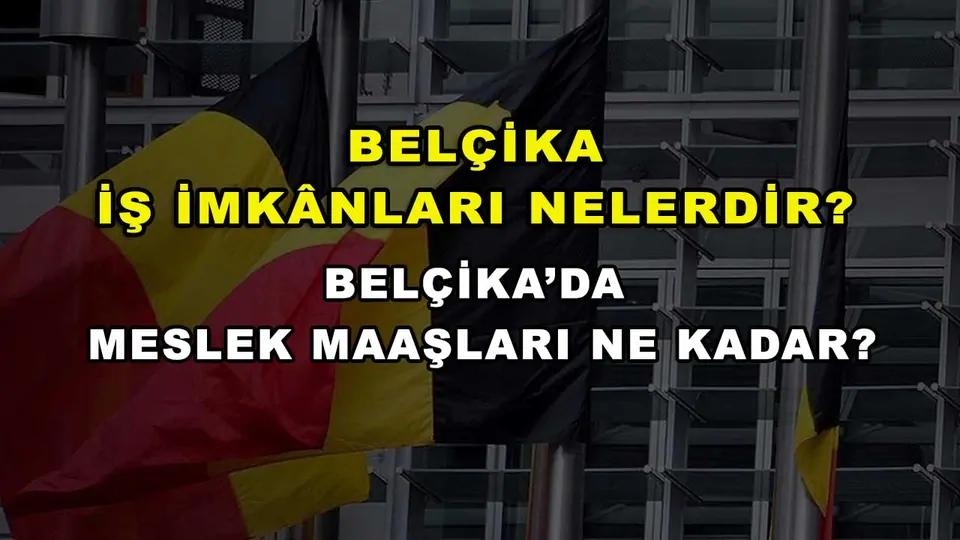 Belçika'da işçi alımı yapan ve arayan firmalar (2026 Türk firmalar)