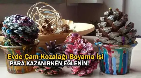 Kozalak hangi boya ile boyanır? Kozalak boyatıp alan firmalar