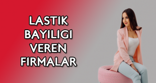 Lastik bayiliği veren firmalar