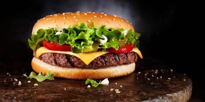 burger bayiligi veren yerler