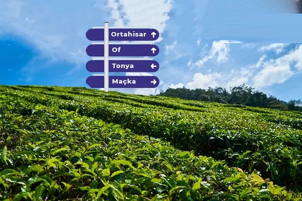 trabzonevdepaketleme