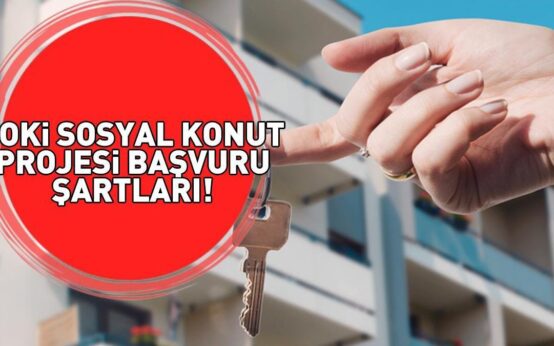 690994ef39465790ca548aaa