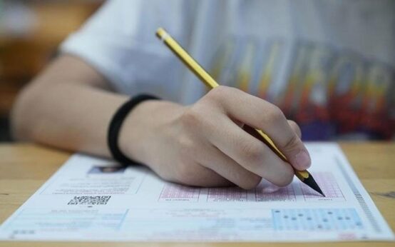 ales 12112025f44aae67