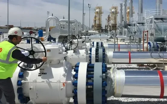 d8cd99f8 7rv0ipy5475zdzykb4apu