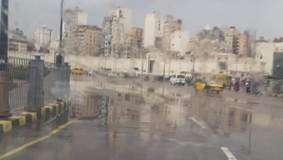 10686628091711263137