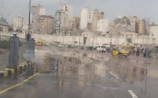 10686628091711263137