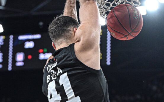 356fe4fd ante zizic besiktas