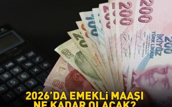 6937af0c39465790ca54ffcc