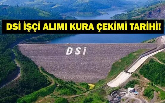 6937d68539465790ca5501c1