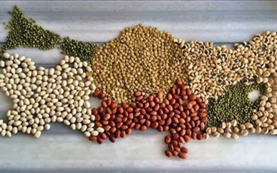 a1f00ea6 7w5gjyz7shcgn6bjyvj1br 1