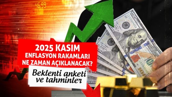 featured image 1764659794