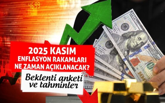 featured image 1764659794