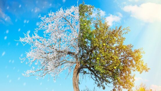 featured image 1765082729