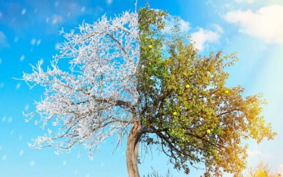 featured image 1765082729