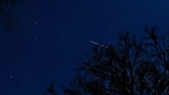 featured image 1765651559