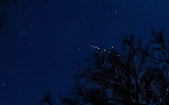 featured image 1765651559