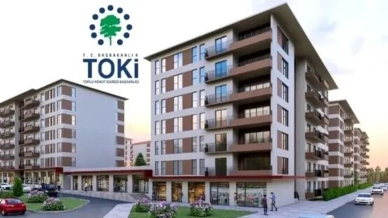 featured image 1765781198