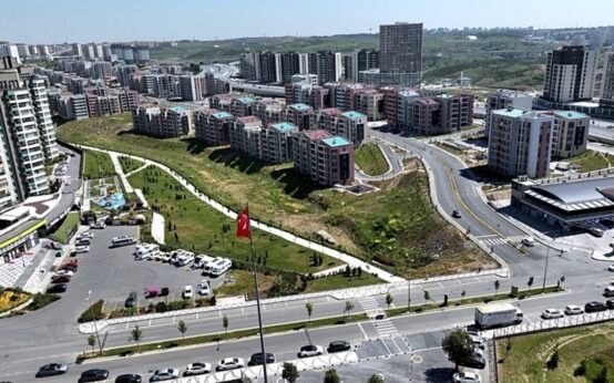 featured image 1765883793