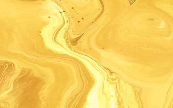 kojpg 7 siw4fdrUyHkb3LJTpS2w