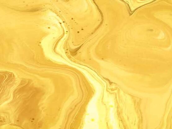 kojpg 7 siw4fdrUyHkb3LJTpS2w